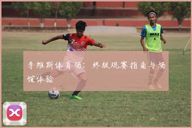 李维斯体育场：终极观赛指南与场馆体验