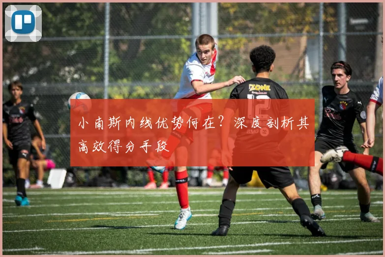 小南斯内线优势何在？深度剖析其高效得分手段