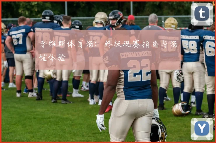 李维斯体育场：终极观赛指南与场馆体验